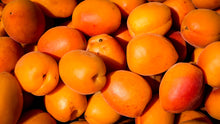 Dwarf Blenheim Apricot Tree - Richest flavor and richest history. (2 years old and 3-4 feet tall.)