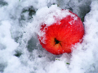 Cold Hardiness Zone 3 Trees and Shrubs (-40° F/-40° C)