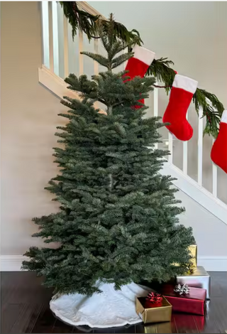 4 ft. to 5 ft. Freshly Cut Noble Fir Live Christmas Tree (Real, Natural, Oregon-Grown)