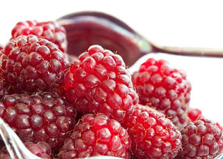 1 gal. Loganberry Plants – Live Fruiting Berry Bushes for Home Gardens, 2-Pack