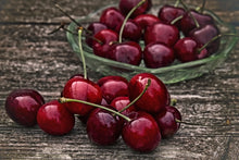 Dwarf Bing Cherry Tree - Grow the worlds favorite sweet cherry, right at home! (2 years old and 3-4 feet tall)