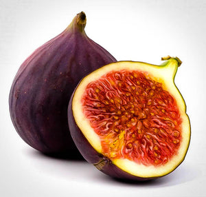 1 gal. Brown Turkey Fig Tree - Two harvests every year of deliciously sweet purplish-bronze fruit