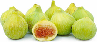 1 gal Ghost Hill White Texas Fig Tree - Double crop fig perfect for hot and dry areas!
