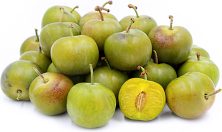 Green Gage Plum Tree - Rare green dessert plum with endless culinary uses! (2 years old and 3-4 feet tall.)