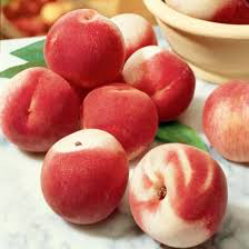 White Gold Peach Tree - Rare white peach with completely unique flavor! (2 years old and 3-4 feet tall.)