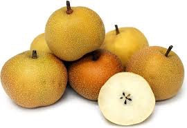 3-in-1 Asian Pear Jubilee Tree - Different Asian Pear varieties grow on each of the 3 limbs! (2 years old and 3-4 feet tall.)