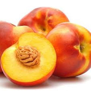 Flavortop Nectarine Tree - Top ranked nectarine flavor! (2 years old and 3-4 feet tall.)