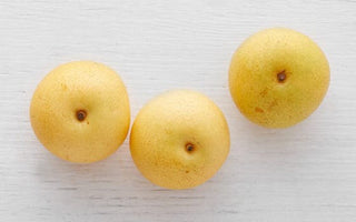 Shinseiki Asian Pear Tree - Heavy producer of sweet snack-sized fruit, thrives everywhere from tropical to cold climates! (2 years old and 3-4 feet tall.)