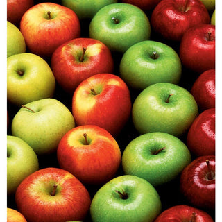 Double-Apple Twist Tree - 2 varieties of apples growing on 1 tree! (2 years old and 3-4 feet tall.)