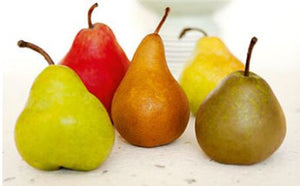 4-in-1 Pear Jubilee Tree - Different pear varieties grow on each limb ...
