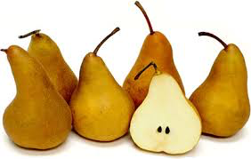 Dwarf Bosc Pear Tree - Cinnamon brown pears are some of the sweetest and most hardy! (2 years old and 3-4 feet tall.)