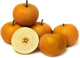 Dwarf Chojuro Asian Pear Tree - Humongous butterscotch flavored fruit! (2 years old and 3-4 feet tall.)