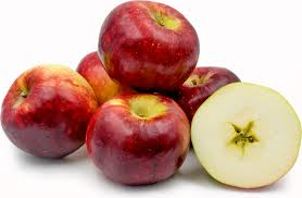 Semi-Dwarf Cortland Apple Tree - One of the slowest to brown after slicing! (2 years old and 3-4 feet tall.)