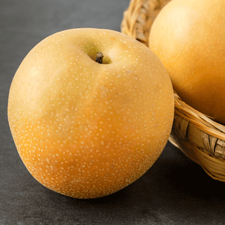 Hosui Asian Pear Tree - Juicier and sweeter than any normal pear! (2 years old and 3-4 feet tall.)