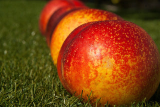 Red Gold Nectarine Tree - Deep red outside, sweet tangy flavor inside! (2 years old and 3-4 feet tall.)